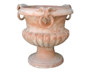 Coppa Anelli